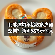 北冰洋每年接收多少微塑料?新研究揭示惊人数据(图4) 北冰洋每年接收多少微塑料?新研究揭示惊人数据(图4)