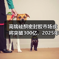 高端硅酮密封胶市场或将突破300亿,2025年发展新趋势(图1) 高端硅酮密封胶市场或将突破300亿,2025年发展新趋势(图1)