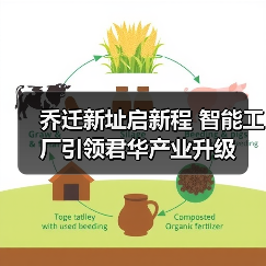 乔迁新址启新程 智能工厂引领君华产业升级（图4）