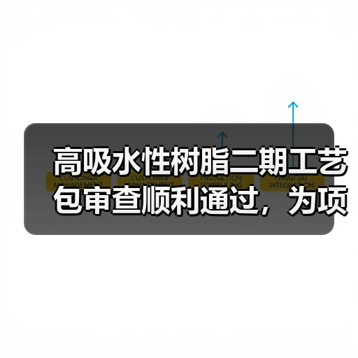 高吸水性树脂二期工艺包审查顺利通过，为项目建设奠定基础（图3）