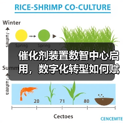 催化剂装置数智中心启用,数字化转型如何赋能生产?(图4) 催化剂装置数智中心启用,数字化转型如何赋能生产?(图4)