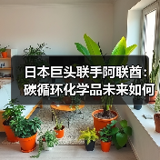 日本巨头联手阿联酋：碳循环化学品未来如何破局？（图4）