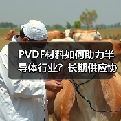 PVDF材料如何助力半导体行业?长期供应协议引关注(图4) PVDF材料如何助力半导体行业?长期供应协议引关注(图4)