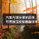 汽车内饰环保革新选,可直接压纹聚氨酯技术突破(图4) 汽车内饰环保革新选,可直接压纹聚氨酯技术突破(图4)