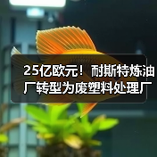 25亿欧元!耐斯特炼油厂转型为废塑料处理厂(图4) 25亿欧元!耐斯特炼油厂转型为废塑料处理厂(图4)