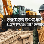 万盛国际有限公司年产3.2万吨磷酸酯阻燃剂项目奠基仪式在泰国罗勇府隆重举行（图2）