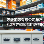 万盛国际有限公司年产3.2万吨磷酸酯阻燃剂项目奠基仪式在泰国罗勇府隆重举行（图4）
