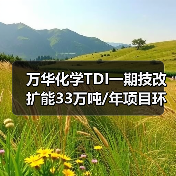 万华化学TDI一期技改扩能33万吨/年项目环评公示(图1) 万华化学TDI一期技改扩能33万吨/年项目环评公示(图1)