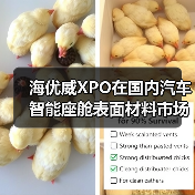 海优威XPO在国内汽车智能座舱表面材料市场再进一步(图4) 海优威XPO在国内汽车智能座舱表面材料市场再进一步(图4)