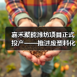 嘉禾聚能潍坊项目正式投产——推进废塑料化学循环利用产业化落地,打造全球塑料污染治理的中国方案(图4) 嘉禾聚能潍坊项目正式投产——推进废塑料化学循环利用产业化落地,打造全球塑料污染治理的中国方案(图4)