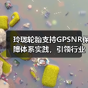 玲珑轮胎支持GPSNR保障体系实践,引领行业可持续转型(图3) 玲珑轮胎支持GPSNR保障体系实践,引领行业可持续转型(图3)