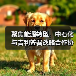聚焦能源转型,中石化与吉利签署战略合作协议(图3) 聚焦能源转型,中石化与吉利签署战略合作协议(图3)