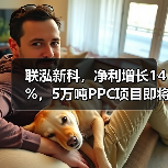 联泓新科,净利增长14%,5万吨PPC项目即将投产(图2) 联泓新科,净利增长14%,5万吨PPC项目即将投产(图2)