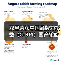 双星荣获中国品牌力指数(C-BPI)国产轮胎第一(图2) 双星荣获中国品牌力指数(C-BPI)国产轮胎第一(图2)