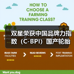 双星荣获中国品牌力指数(C-BPI)国产轮胎第一(图3) 双星荣获中国品牌力指数(C-BPI)国产轮胎第一(图3)