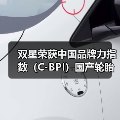 双星荣获中国品牌力指数(C-BPI)国产轮胎第一(图4) 双星荣获中国品牌力指数(C-BPI)国产轮胎第一(图4)
