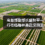 商务部副部长盛秋平一行莅临格林美武汉园区考察调研(图3) 商务部副部长盛秋平一行莅临格林美武汉园区考察调研(图3)