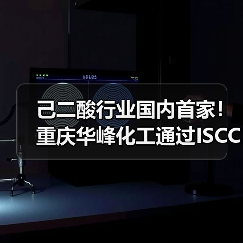 己二酸行业国内首家!重庆华峰化工通过ISCC PLUS国际认证(图2) 己二酸行业国内首家!重庆华峰化工通过ISCC PLUS国际认证(图2)