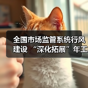 全国市场监管系统行风建设 “深化拓展”年工作现场推进会召开（图3）