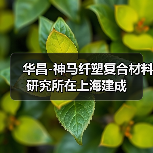 华昌-神马纤塑复合材料研究所在上海建成(图1) 华昌-神马纤塑复合材料研究所在上海建成(图1)
