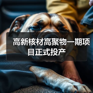 高新核材高聚物一期项目正式投产(图4) 高新核材高聚物一期项目正式投产(图4)