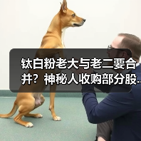 钛白粉老大与老二要合并？神秘人收购部分股...（图2）