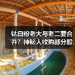 钛白粉老大与老二要合并？神秘人收购部分股...（图3）
