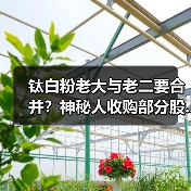 钛白粉老大与老二要合并？神秘人收购部分股...（图4）