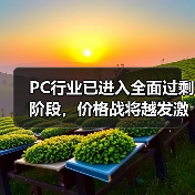 PC行业已进入全面过剩阶段,价格战将越发激烈(图3) PC行业已进入全面过剩阶段,价格战将越发激烈(图3)