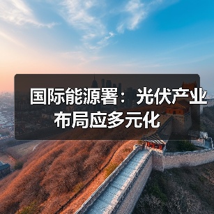 国际能源署:光伏产业布局应多元化(图2) 国际能源署:光伏产业布局应多元化(图2)