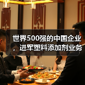 世界500强的中国企业,进军塑料添加剂业务(图4) 世界500强的中国企业,进军塑料添加剂业务(图4)