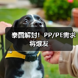 泰国解封!PP/PE需求将爆发(图1) 泰国解封!PP/PE需求将爆发(图1)