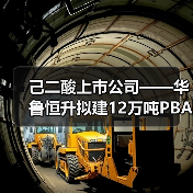 己二酸上市公司——华鲁恒升拟建12万吨PBAT+18万吨BDO项目(图3) 己二酸上市公司——华鲁恒升拟建12万吨PBAT+18万吨BDO项目(图3)