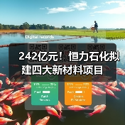 242亿元!恒力石化拟建四大新材料项目(图2) 242亿元!恒力石化拟建四大新材料项目(图2)