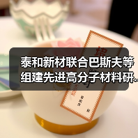泰和新材联合巴斯夫等组建先进高分子材料研...(图2) 泰和新材联合巴斯夫等组建先进高分子材料研...(图2)