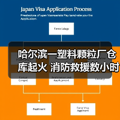 哈尔滨一塑料颗粒厂仓库起火 消防救援数小时(图3) 哈尔滨一塑料颗粒厂仓库起火 消防救援数小时(图3)