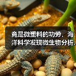 竟是微塑料的功劳,海洋科学发现微生物分析...(图2) 竟是微塑料的功劳,海洋科学发现微生物分析...(图2)