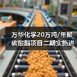 万华化学20万吨/年聚碳酸酯项目二期实施进度...(图1) 万华化学20万吨/年聚碳酸酯项目二期实施进度...(图1)