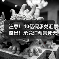 注意!40亿假承兑汇票流出!承兑汇票害死无...(图2) 注意!40亿假承兑汇票流出!承兑汇票害死无...(图2)