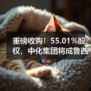 重磅收购!55.01%股权,中化集团将成鲁西化...(图3) 重磅收购!55.01%股权,中化集团将成鲁西化...(图3)