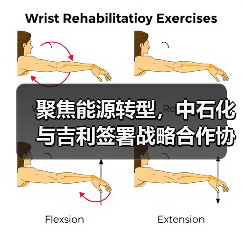 聚焦能源转型，中石化与吉利签署战略合作协议（图4）