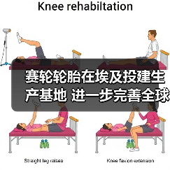 赛轮轮胎在埃及投建生产基地 进一步完善全球产能布局（图4）