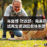 商务部 财政部：完善县域再生资源回收体系建设（图2）