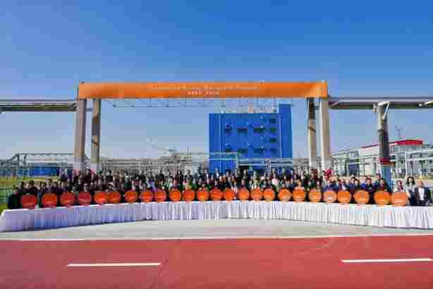 巴斯夫全新高性能分散剂生产线在中国南京正式投产(图1)