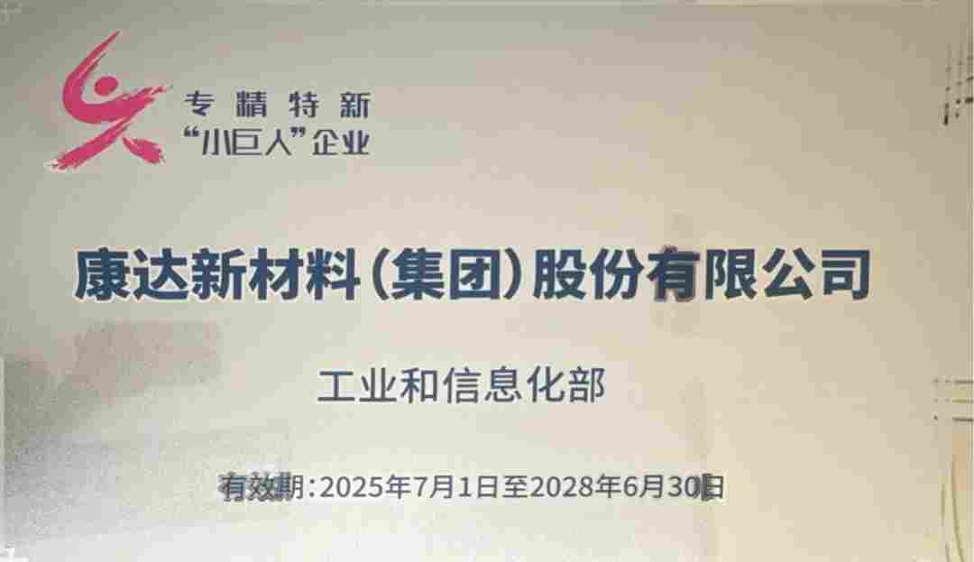 康达新材顺利通过2025年国家级专精特新“小巨人”复核！(图1)
