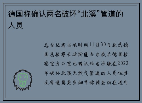德国称确认两名破坏“北溪”管道的人员