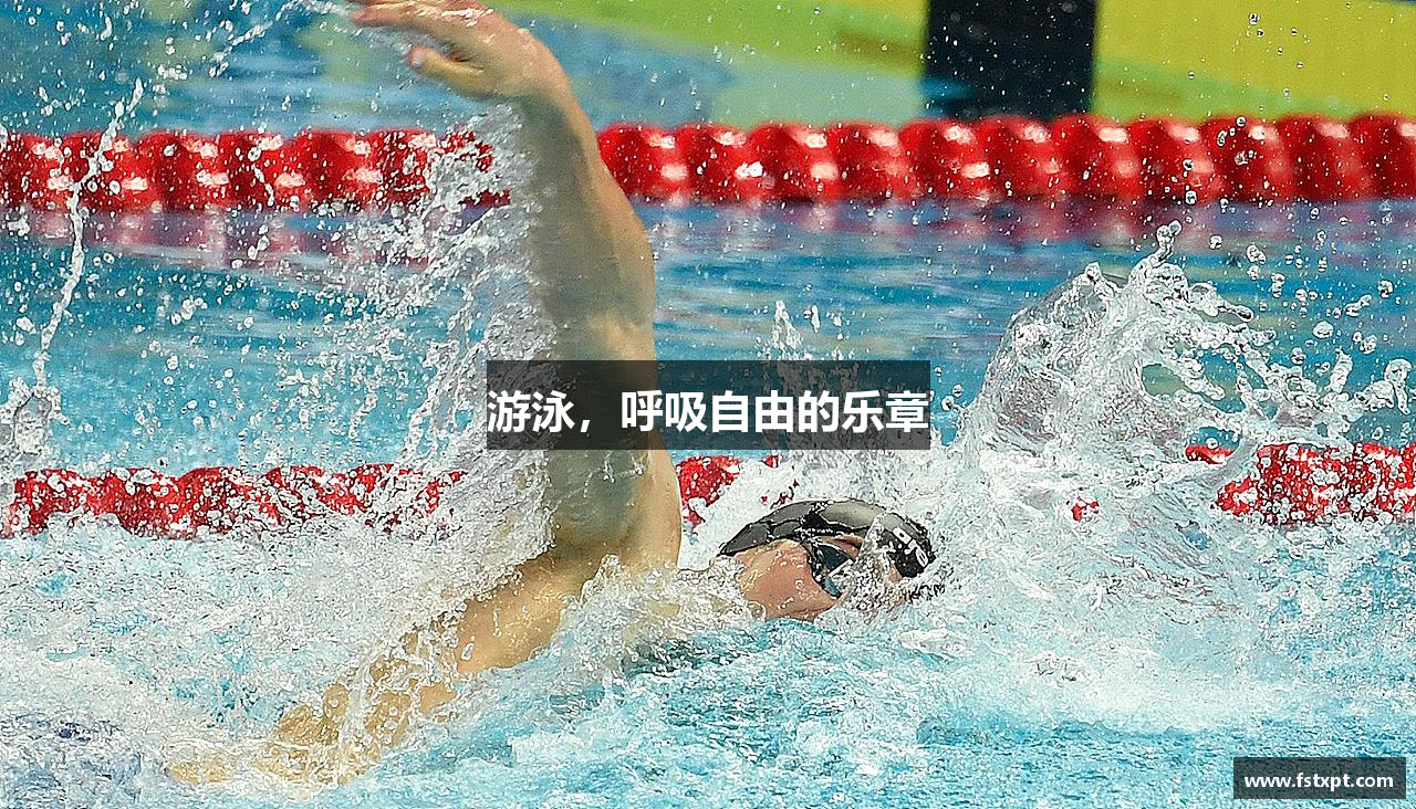 游泳，呼吸自由的乐章
